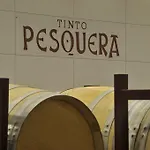 Hotel Af Pesquera Peñafiel