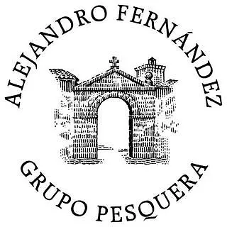 Af Pesquera 4* Peñafiel