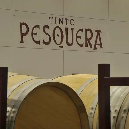 ホテル Af ペスケーラ Peñafiel