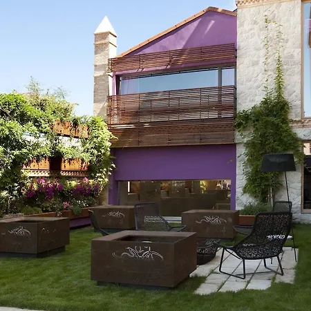 Hotel Af Pesquera Peñafiel