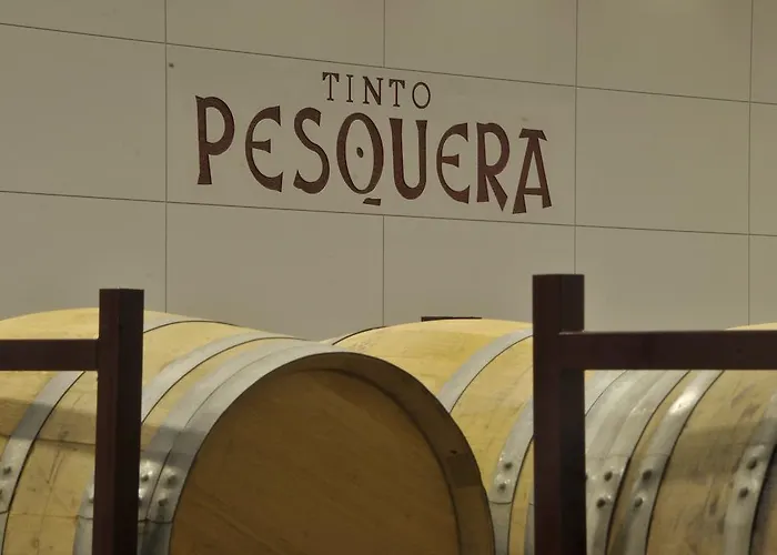 ホテル Af ペスケーラ Peñafiel